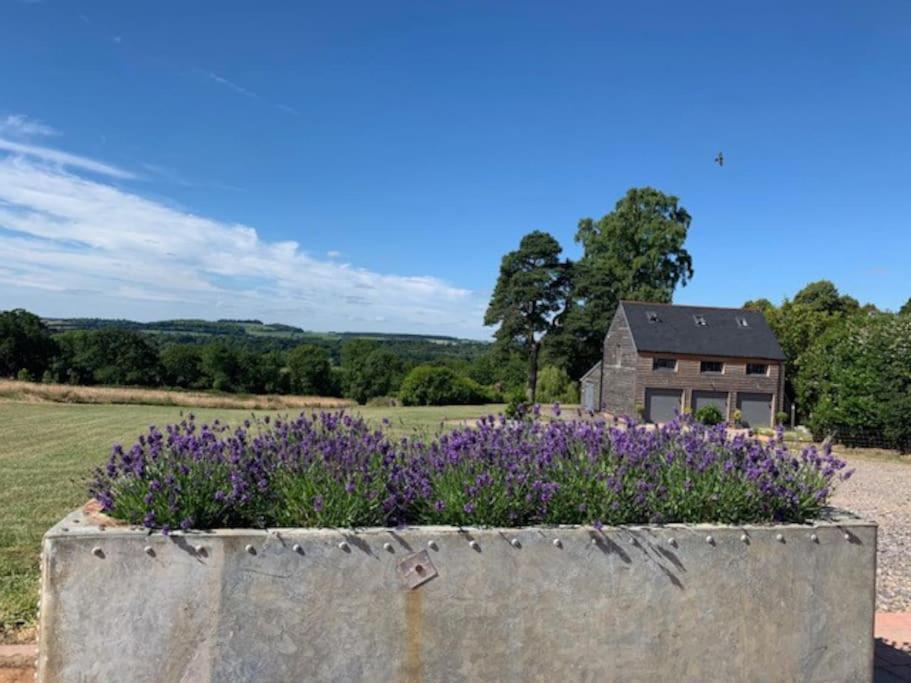 The Coach House Apartment Alderbury
